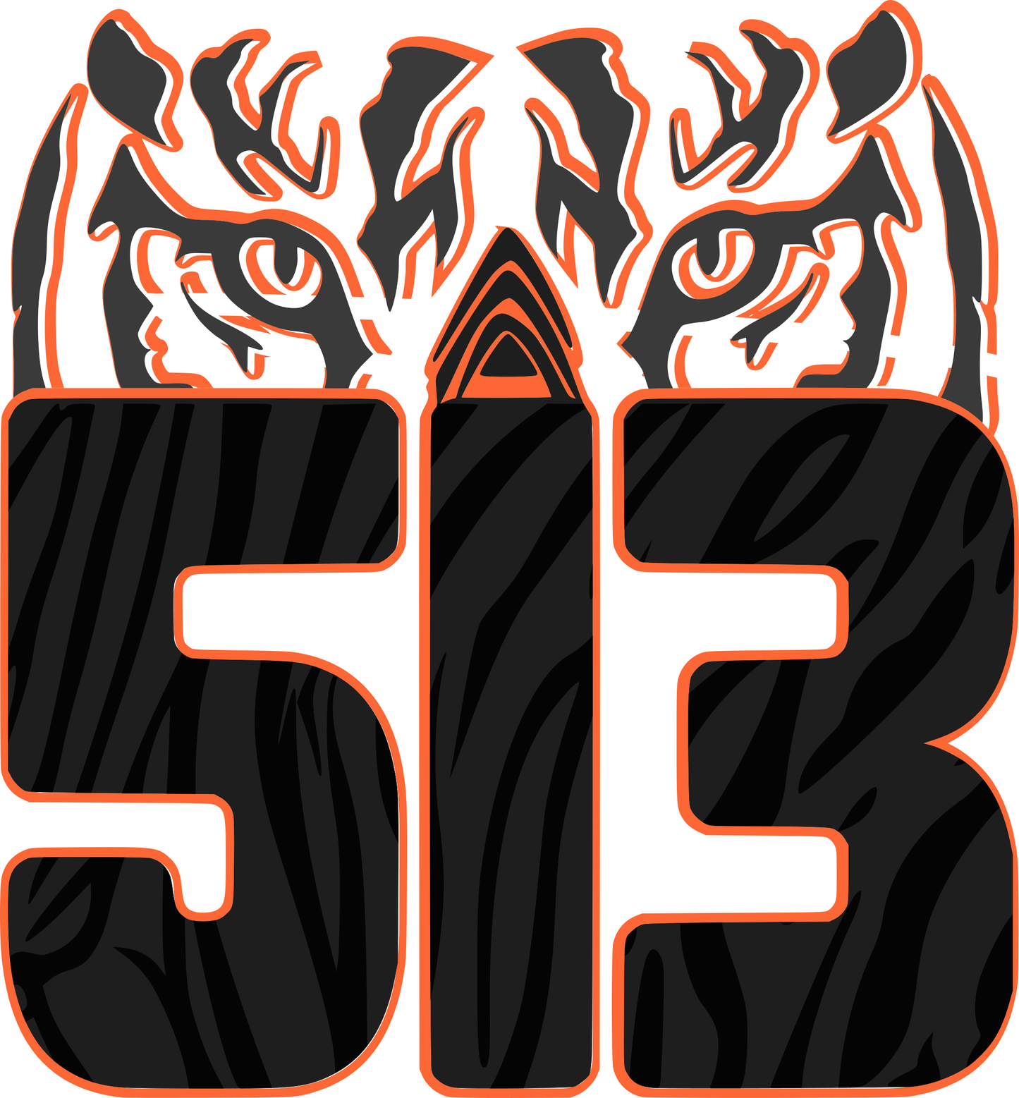 Cincinnati Bengals