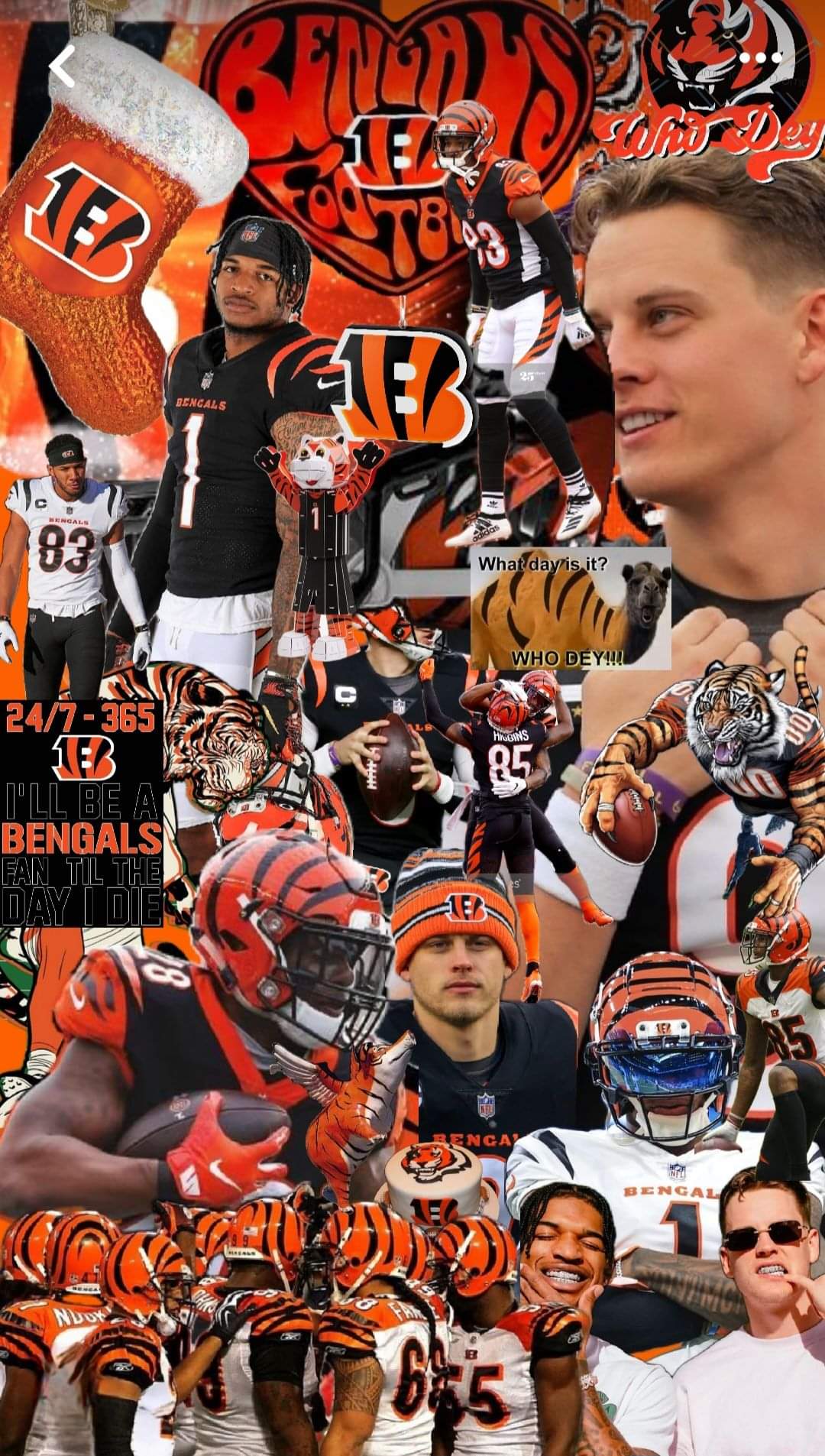 Cincinnati Bengals