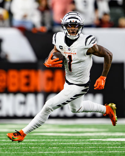 Cincinnati Bengals