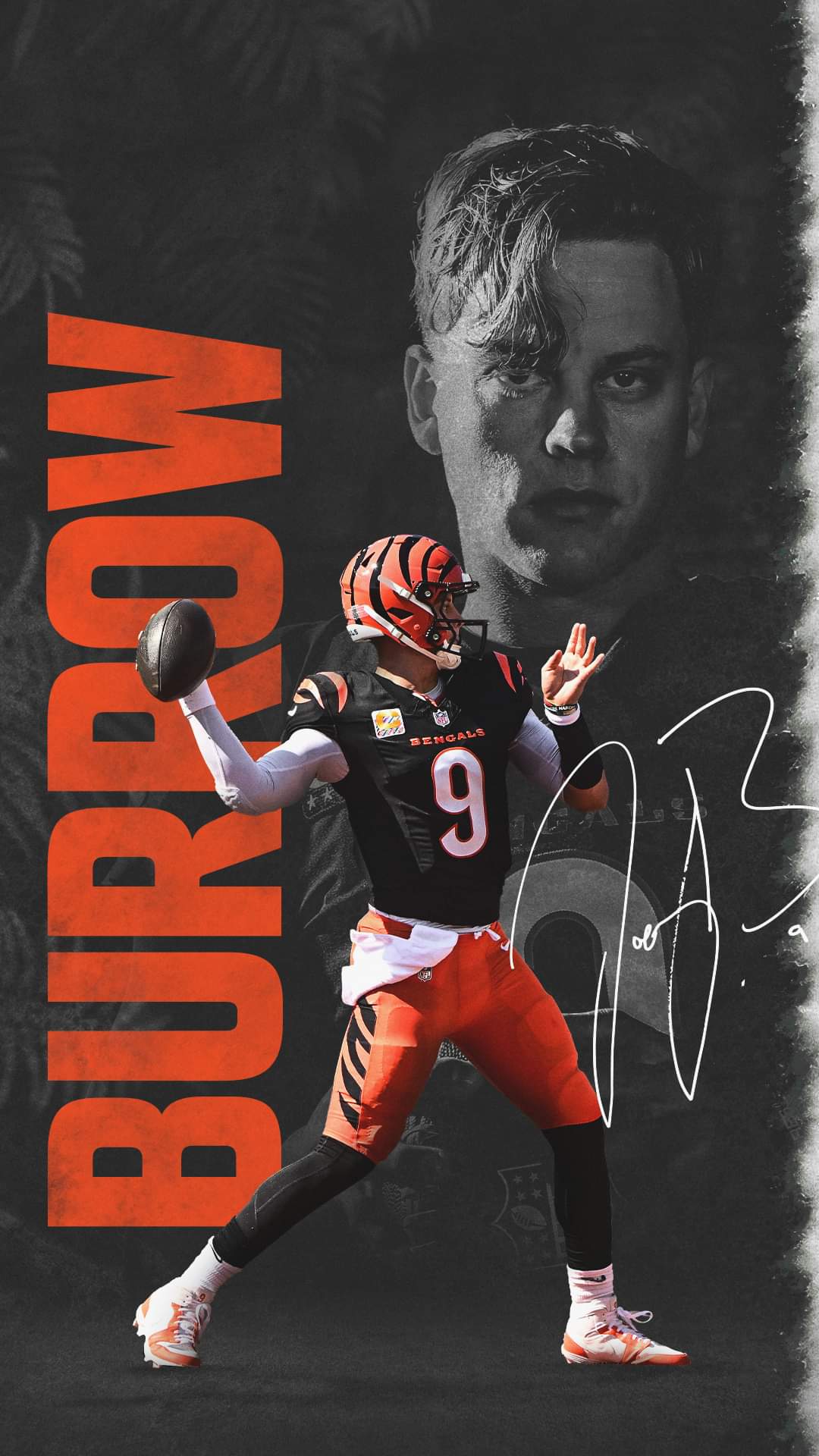 Cincinnati Bengals