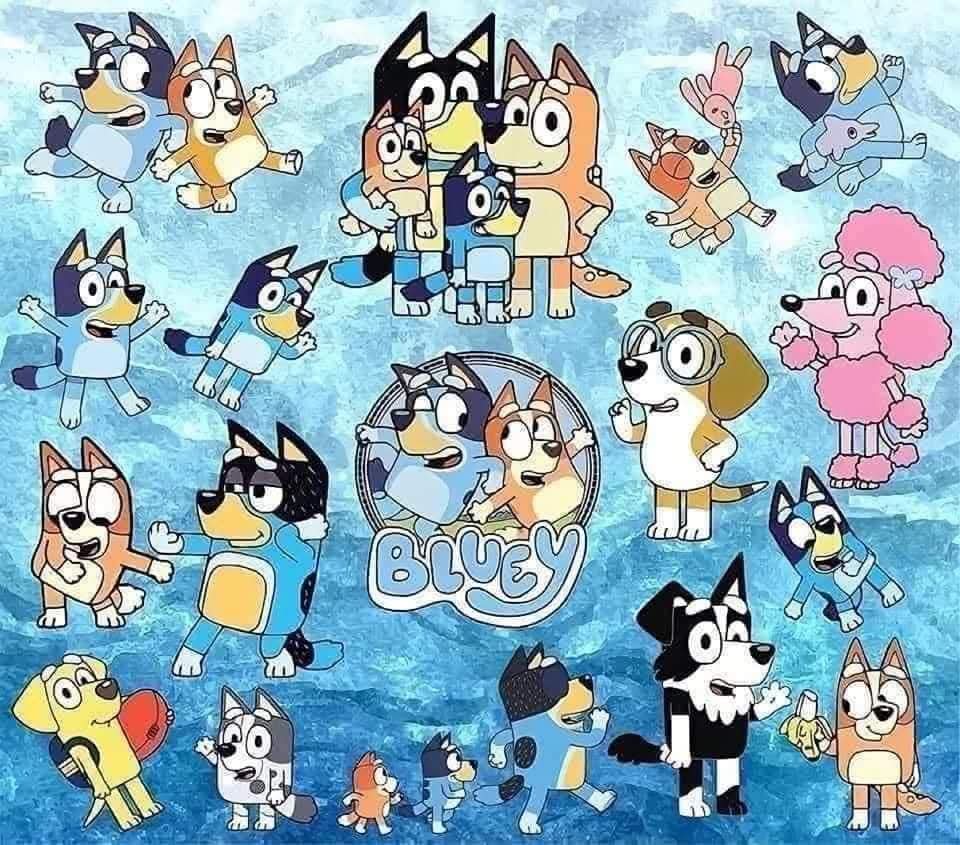Bluey