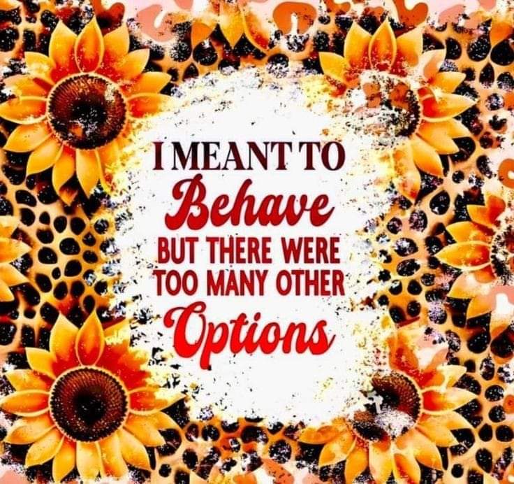 Funny Sayings