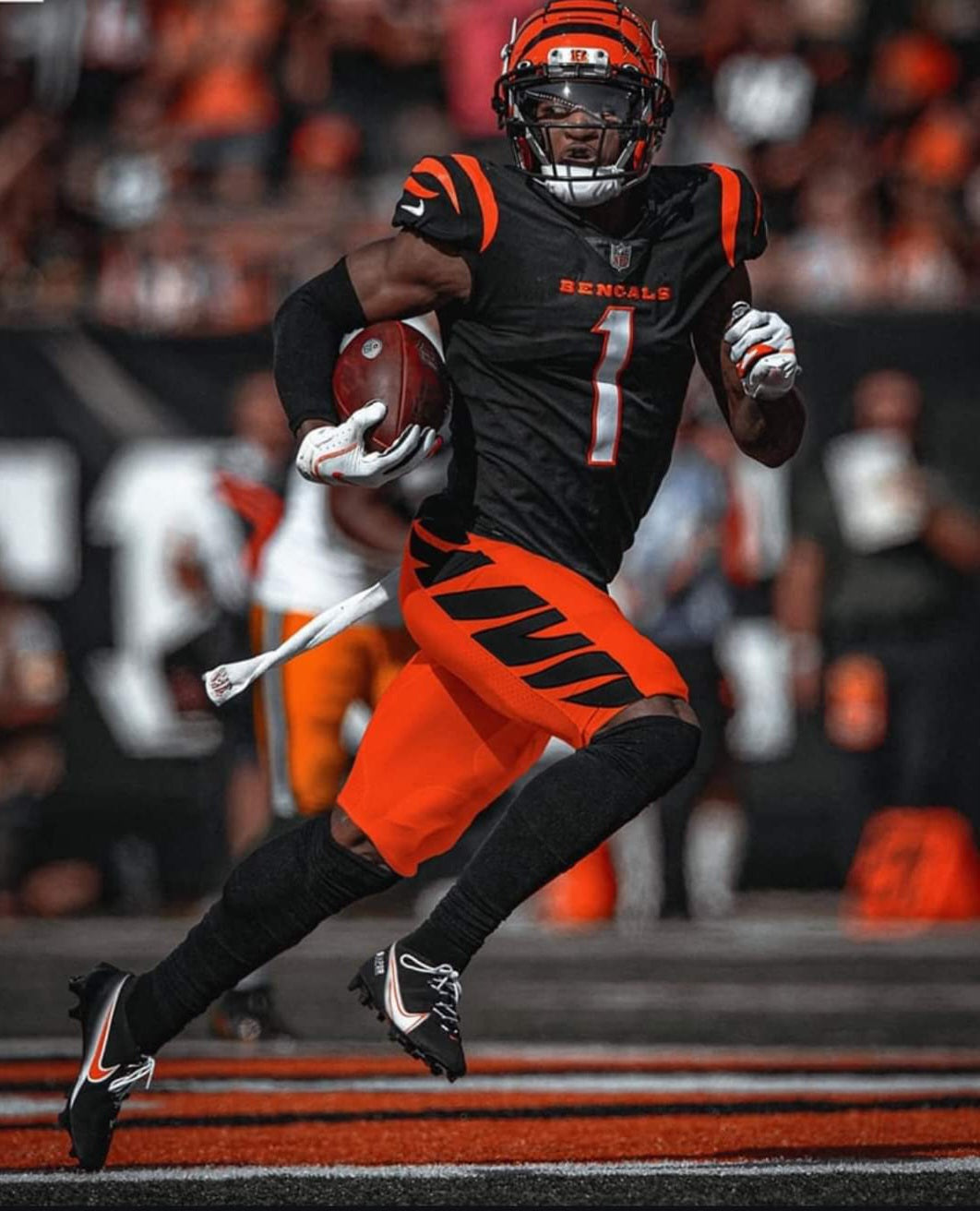 Cincinnati Bengals