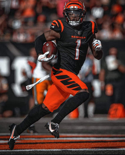 Cincinnati Bengals