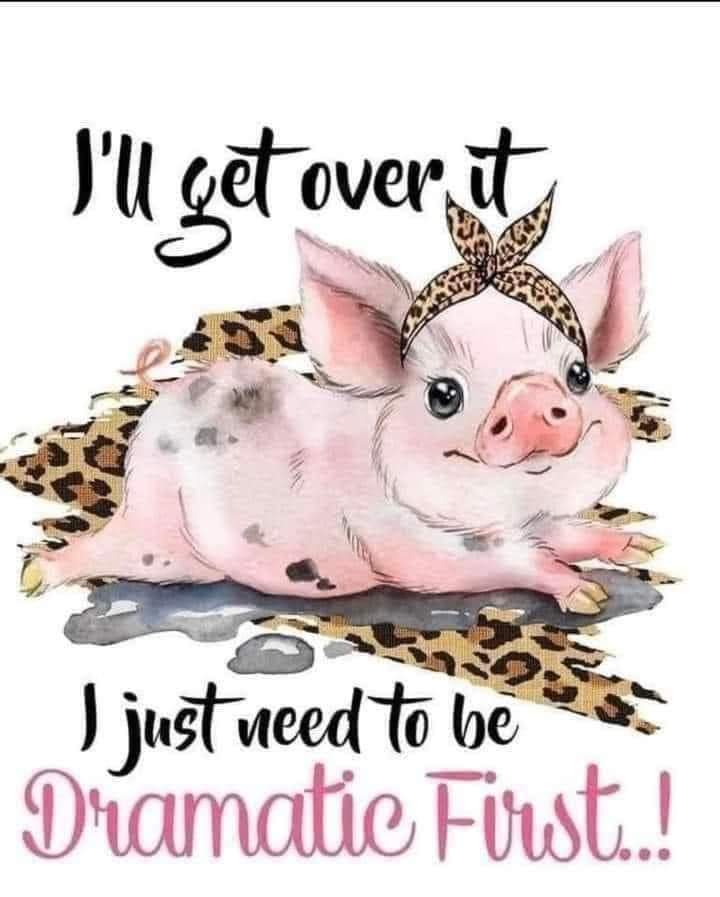 Funny saying 2