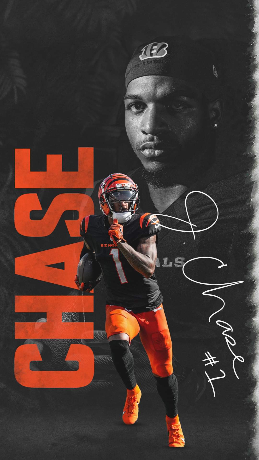 Cincinnati Bengals